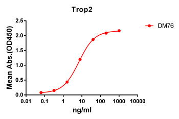 Trop2 Antibody