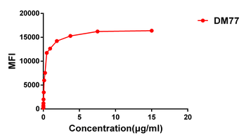 Anti-CD33 antibody(DM77); Rabbit mAb