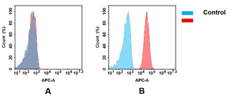 Anti-CD33 antibody(DM77); Rabbit mAb