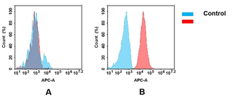 Anti-B7-2 antibody(DM84); Rabbit mAb