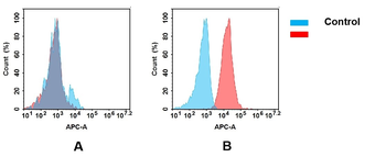 Anti-B7-2 antibody(DM85); Rabbit mAb