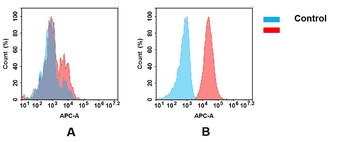 Anti-B7-2 antibody(DM86); Rabbit mAb