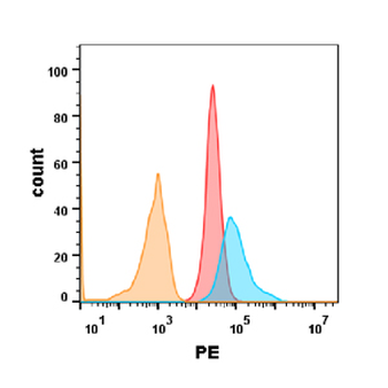 Anti-TNFRSF10B (tigatuzumab biosimilar) mAb