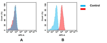 Anti-TNFRSF10B (tigatuzumab biosimilar) mAb