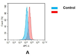 Anti-AXL (enapotamab biosimilar) mAb