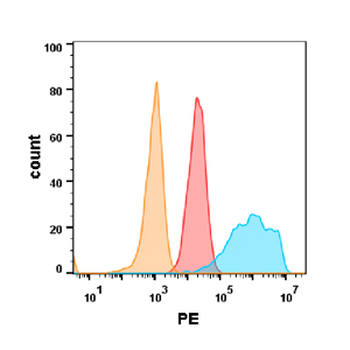 Anti-EGFR (Cetuximab biosimilar) mAb