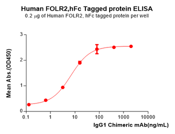 Human BCMA Protein, His Tag