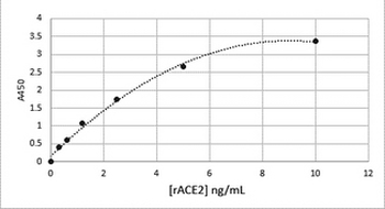 ACE2/ACE-2 Antibody