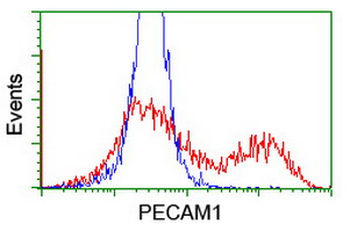 PECAM-1/CD31 Antibody