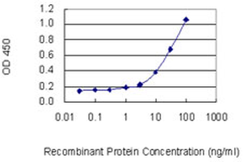 MPO/Myeloperoxidase Antibody