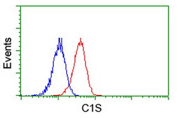 Complement C1s Antibody