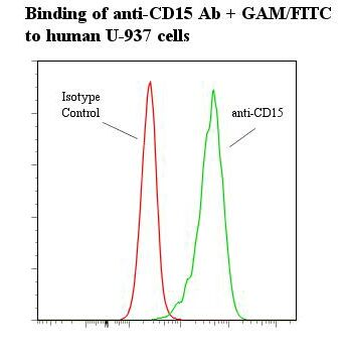 SSEA-1/Lewis x/CD15 Antibody