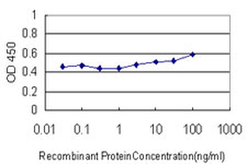 LIPA/Lysosomal Acid Lipase Antibody