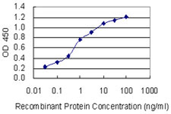 KCNJ5/Kir3.4/GIRK4 Antibody