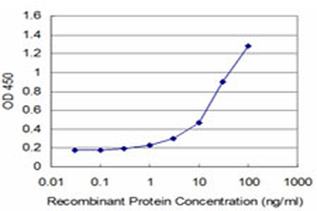 ARX Antibody