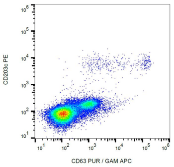 CD63 Antibody