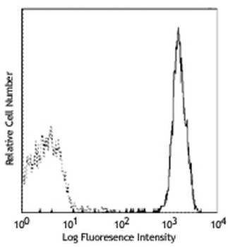 CD9 Antibody