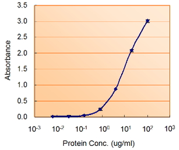 MIF Antibody