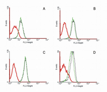 CD95/FAS Antibody