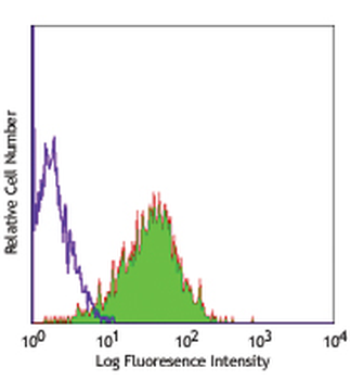 THY1/CD90 Antibody