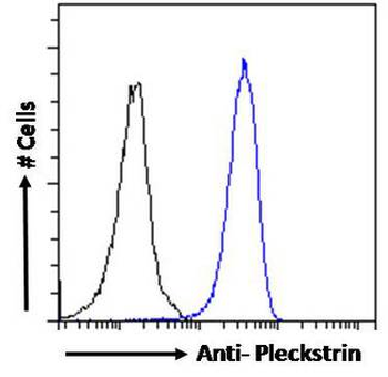 PLEK/Pleckstrin Antibody