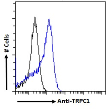 TRPC1 Antibody