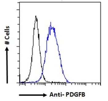 PDGF-BB Antibody