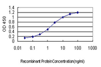CRYM Antibody