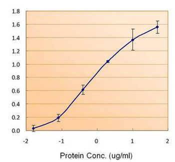 FTL/Ferritin Light Chain Antibody