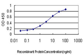 SF1 Antibody