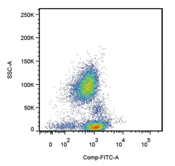 SELPLG/PSGL-1/CD162 Antibody