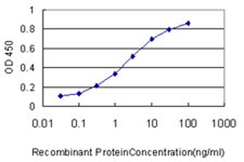 HAMP/Hepcidin Antibody
