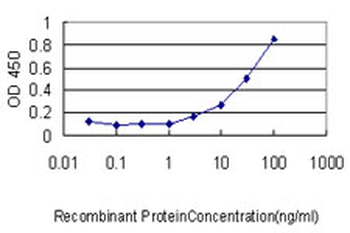Gasdermin D/GSDMD Antibody