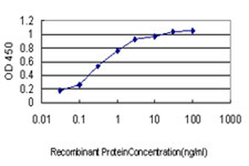 SPSB2 Antibody