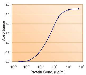 FH/Fumarase/MCL Antibody