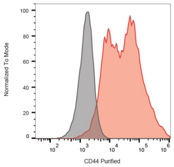 CD44 Antibody