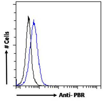 TSPO/PBR Antibody