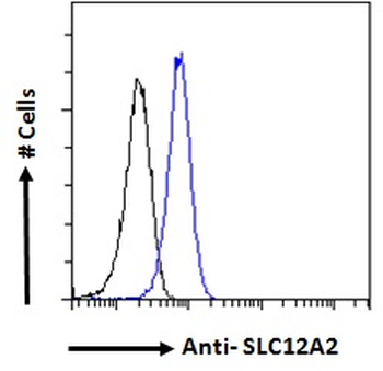 SLC12A2/NKCC1 Antibody