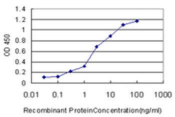 SP1 Antibody