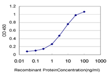 STAT6 Antibody