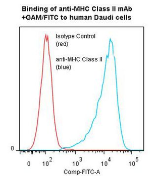 MHC Class II Antibody