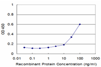 Neuropeptide Y/NPY Antibody
