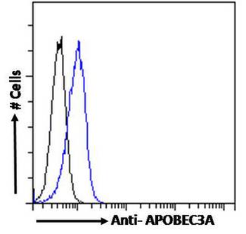 APOBEC3A Antibody