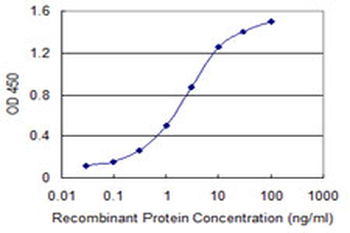 Vasohibin 1/VASH1 Antibody