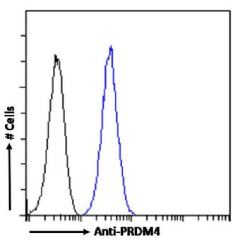 Anti-PRDM4 [RAB-C367]