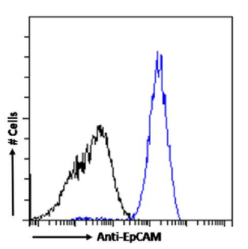 Anti-EpCAM [KS1/4]
