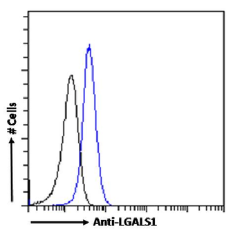 Anti-LGALS1 [SAIC-25B-112]