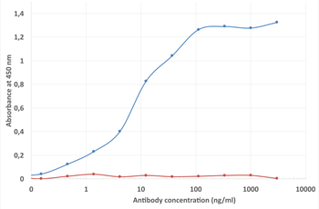 Anti-CD28 [15E8]