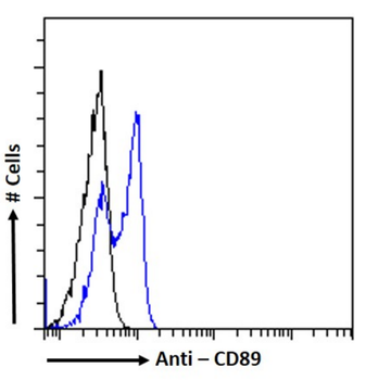 Anti-CD89 [14A8 (14.1)]