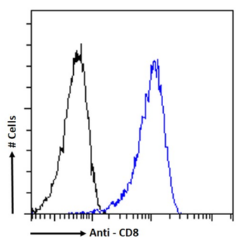 Anti-CD8 [G10-1]